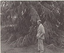 Luther Burbank gravesite